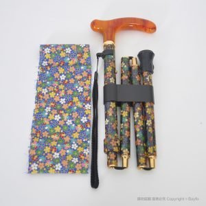Adjustable Travel Canes