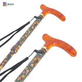 walking stick