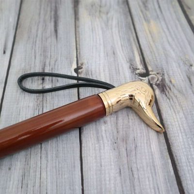 Extra Long Handle Shoe Horn