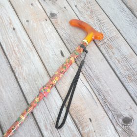 walking cane vendor