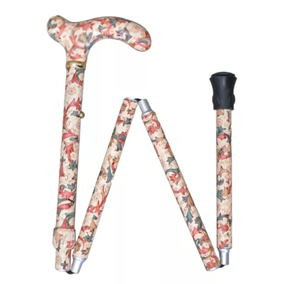 Easy-Extendable-Walking-cane
