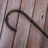 Clear Crook Walking Cane & black line