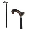 Sheesham and water buffalo horn walking stick