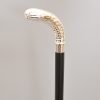 Python Walking Stick