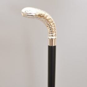 Python Walking Stick