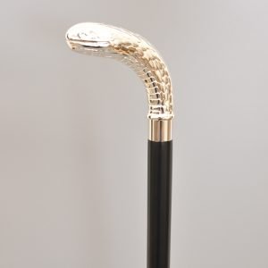 Python Walking Stick