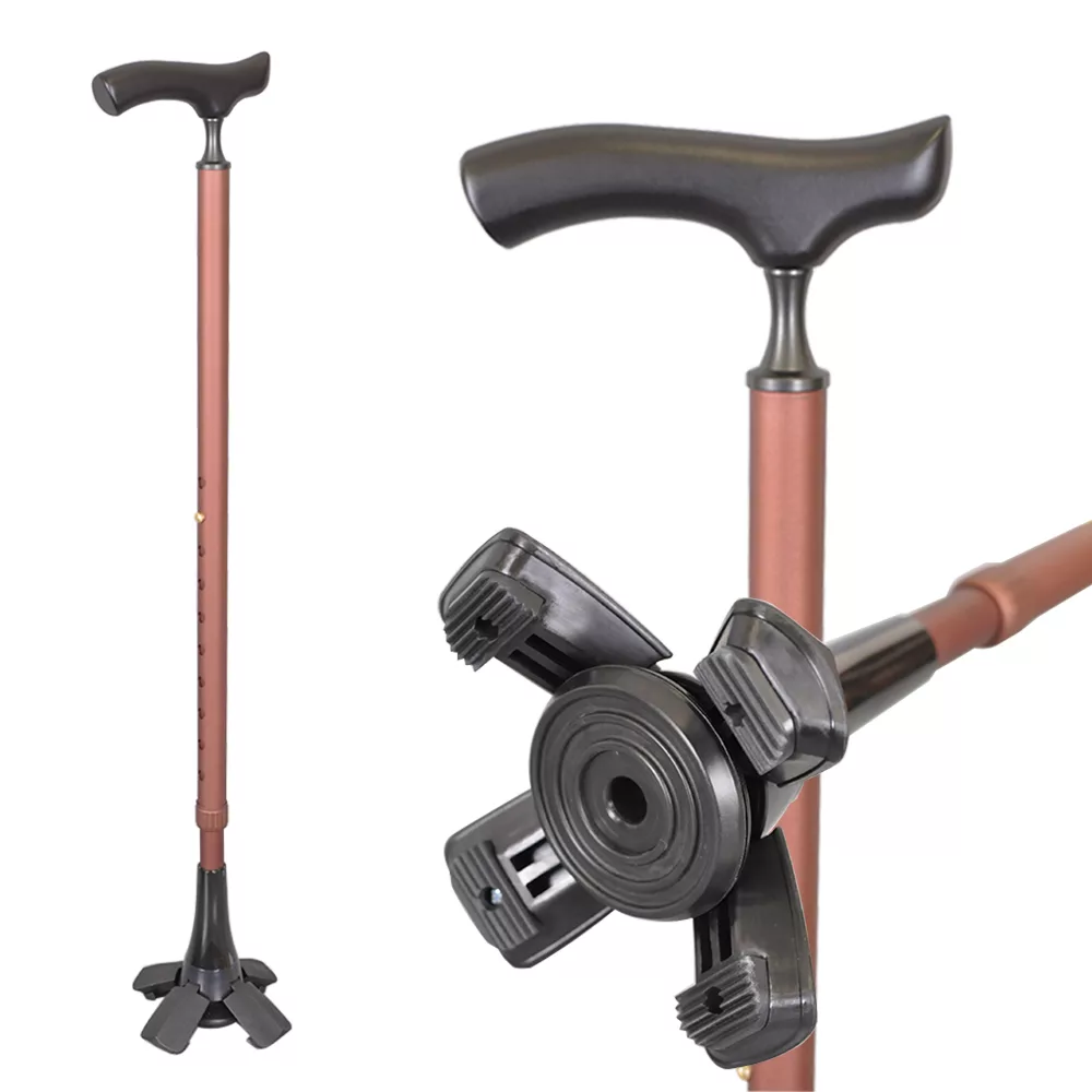 Self-Standing Walking Canes