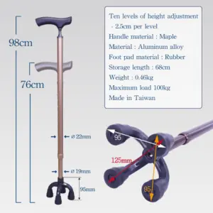 Freestanding Walking Stick