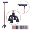 Stand Up Cane