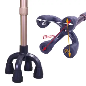 Stand-Alone Walking Canes